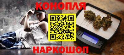 хмурый Кингисепп