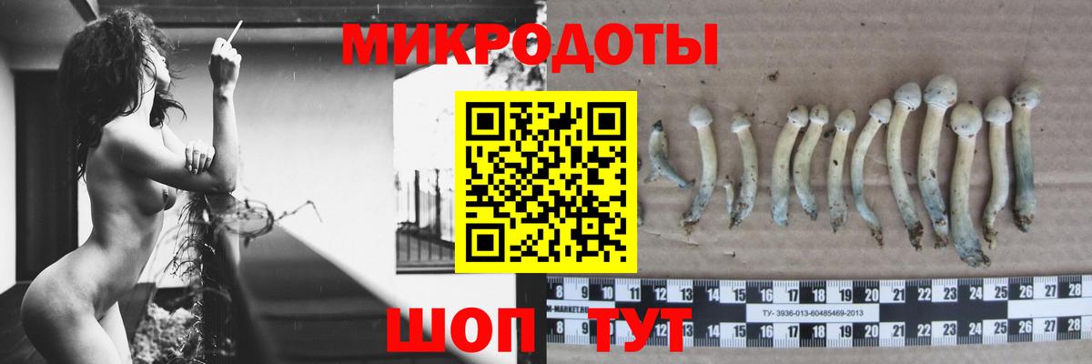 как найти   Галлюциногенные грибы мицелий  Вход с VPN  Галлюциногенные грибы Magic Shrooms  Энгельс 